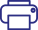 print icon
